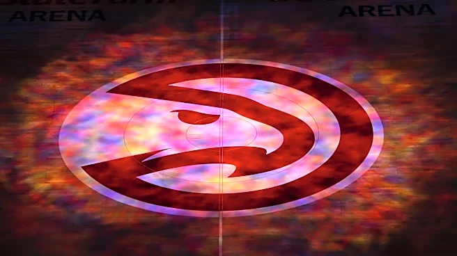 Viral post over hawk hiding in plain sight sparks discussion