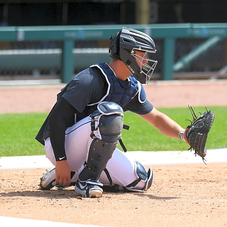 How are the Detroit Tigers doing with ABS?