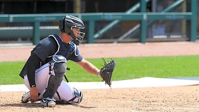 How are the Detroit Tigers doing with ABS?