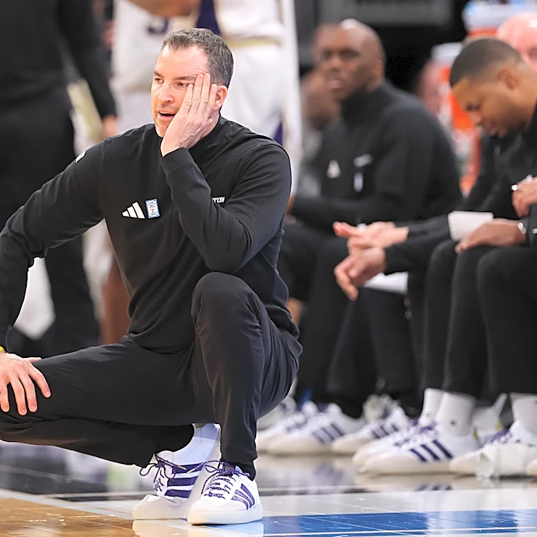 Tuesday Dots: Paws and Refresh