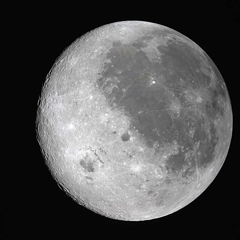 The Daily Mauling 4.8.26