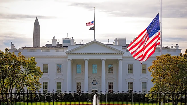 Sneak peek! Dana White teases UFC White House special feature to show what expensive South Lawn setup will look like in June | Video