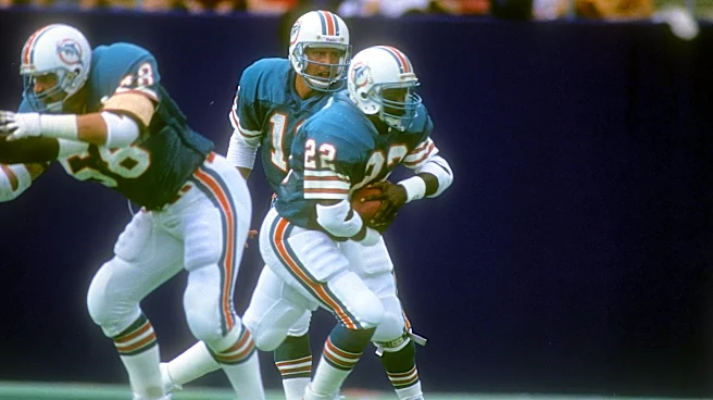 Miami Dolphins Discussion: Must Underrated Edition