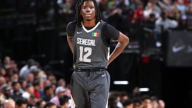 Rutgers C Baye Fall back in transfer portal