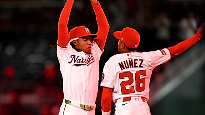 What would make the Washington Nationals season fun?