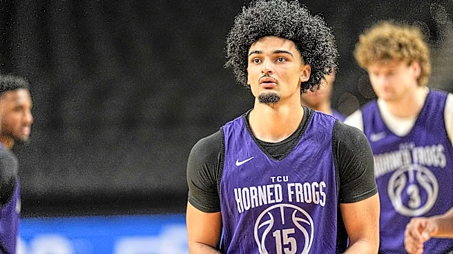 Potential Texas target David Punch enters portal with DNC tag