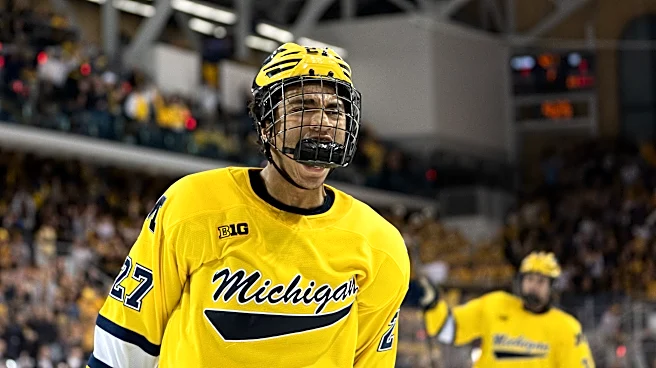 Michigan Hockey loses double OT heartbreaker to Denver in Frozen Four