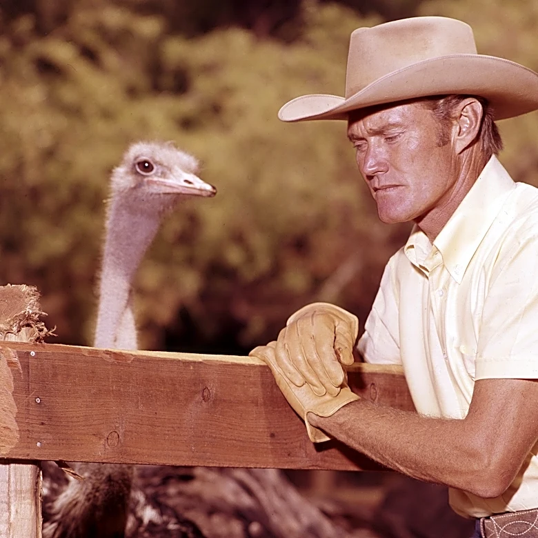 Chicago Cubs history unpacked, April 10