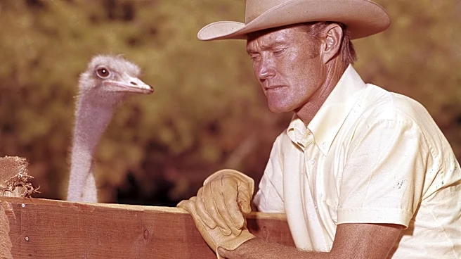 Chicago Cubs history unpacked, April 10