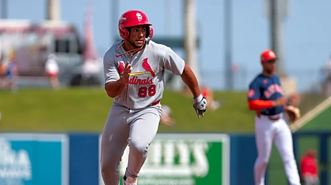 A final rundown of the St. Louis Cardinals minor league assignments