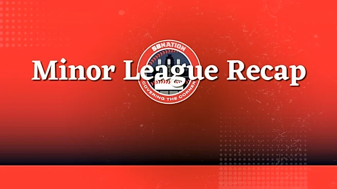 Minor League Recap: Everyone loses