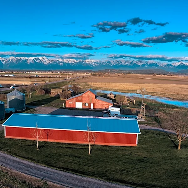 The Link Farm: 4.10.26