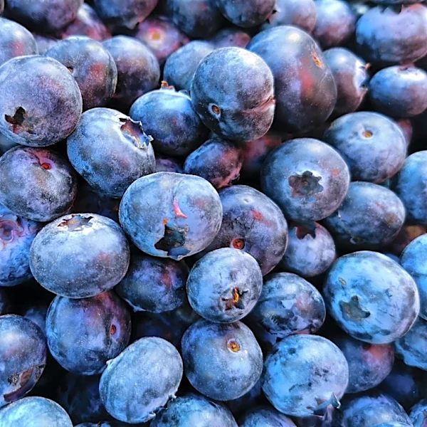 Minor league update for 4/10/26