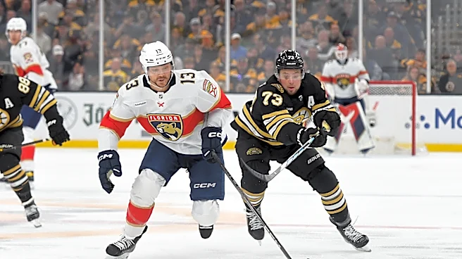 The Bruins are officially back in the playoffs!