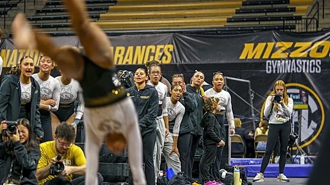 Mizzou Gym By the Numbers