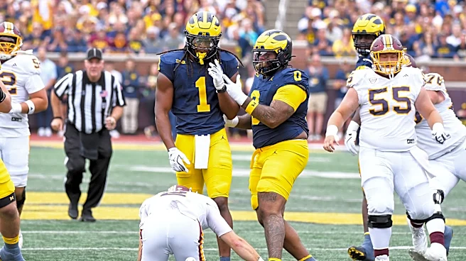 NFL Draft Profile: Michigan Football DL Tre Williams