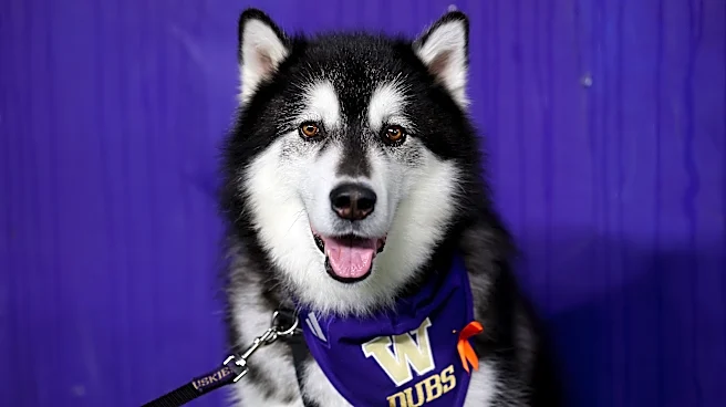 UW Softball Weekly Roundup: First Pitches and Sweeping Gophers