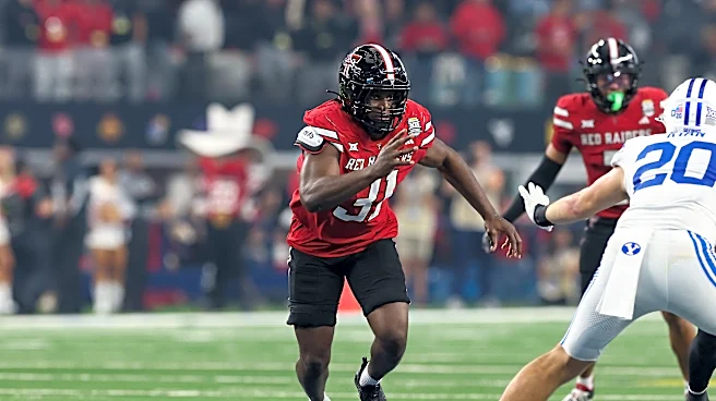 Arvell Reese vs. David Bailey