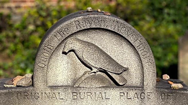 Arizona Diamondbacks Gameday Thread, #18: 4/14 @ Orioles