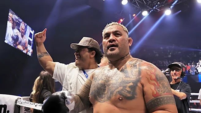 Mark Hunt arrested for stalking after alleged domestic incident