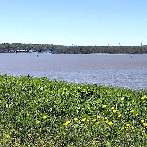 Minor league update for 4/14/26