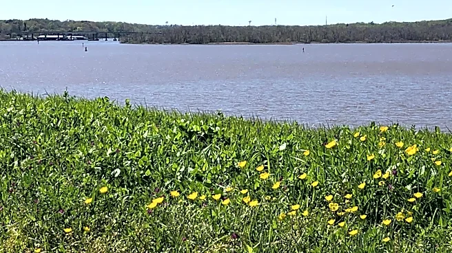 Minor league update for 4/14/26