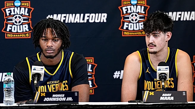 How Aday Mara, Morez Johnson could impact Michigan’s transfer portal strategy