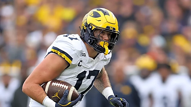 NFL Draft Profile: Michigan Football TE Marlin Klein
