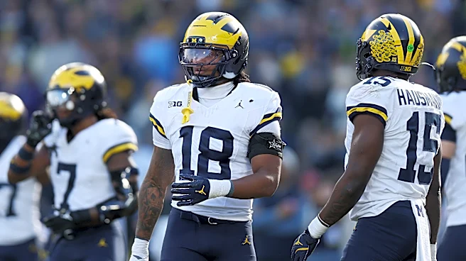 Troy Bowles discusses expectations for Michigan Football LBs in 2026
