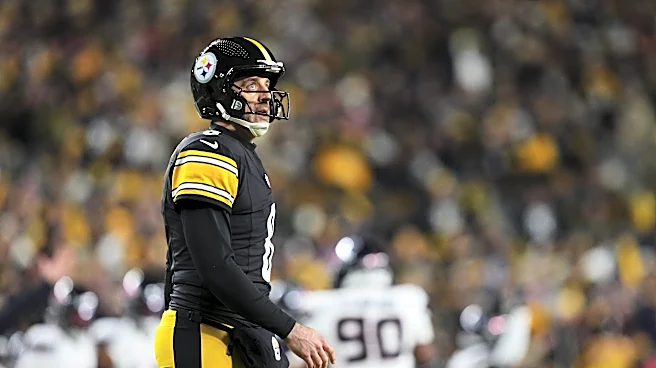 Steelers WR Michael Pittman not worried about Aaron Rodgers uncertainty