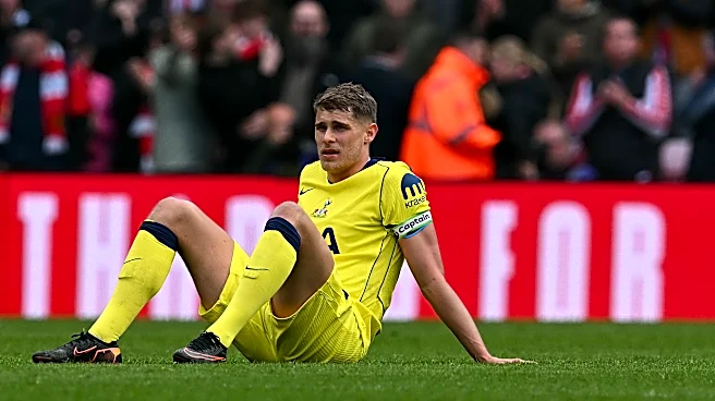 If Tottenham is relegated, should Bayern Munich target any of those players?