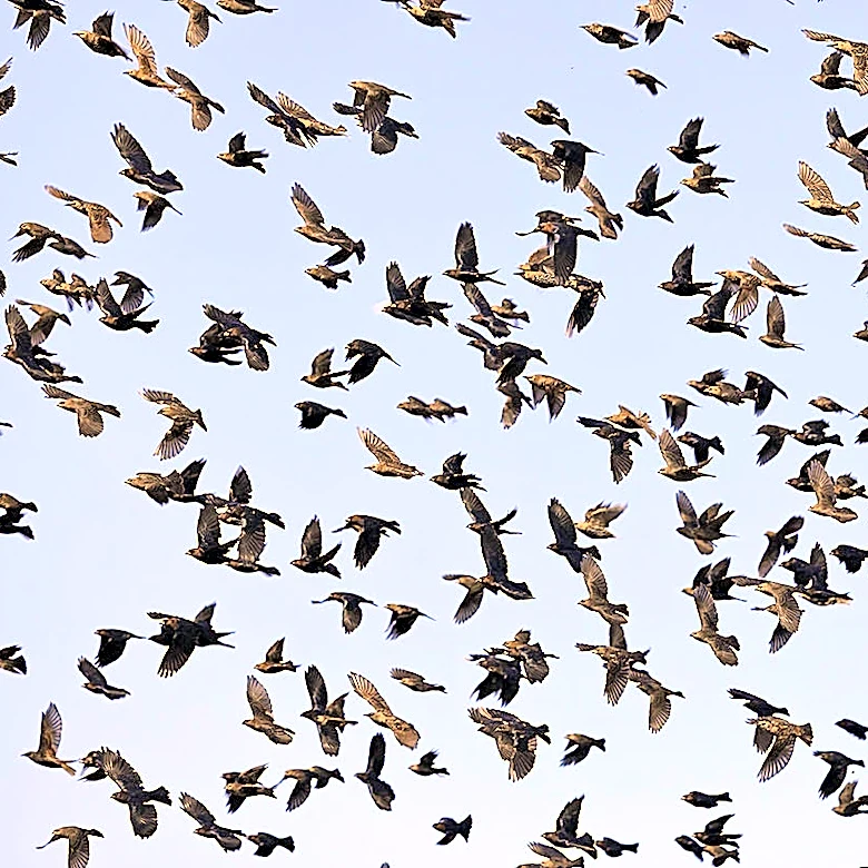 The Weekend Mauling: 4/18/26