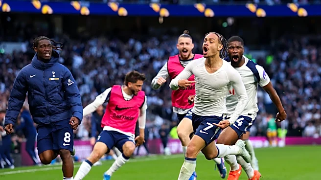 Tottenham Hotspur 2-2 Brighton & Hove Albion: Spurs unable to hold on for three points