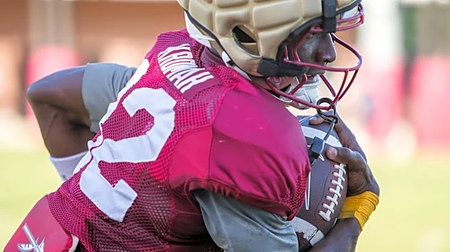 Noles News: How much production has FSU gotten out of blue-chip recruits?