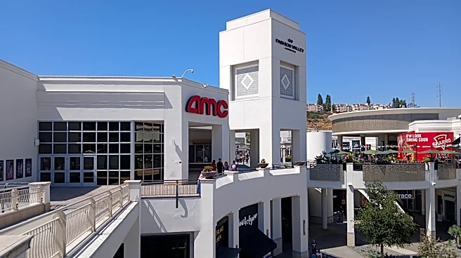 WrestleMania 42 was a night of cheers and tears at a local AMC theater