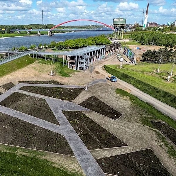 The Daily Hilario: Tuesday