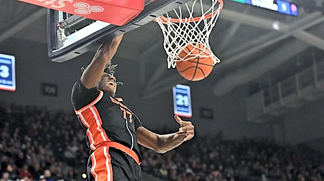 Florida Atlantic transfer Maxim Logue commits to UNC