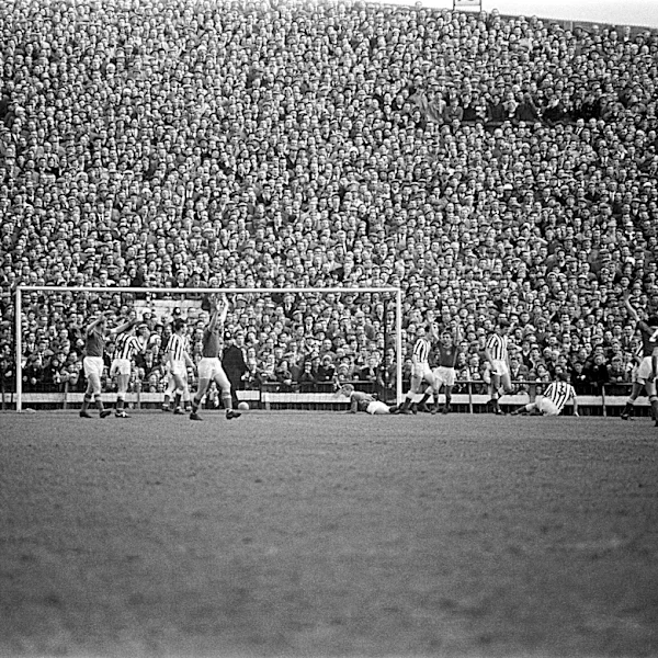 Beer, Baccy & Bovril!