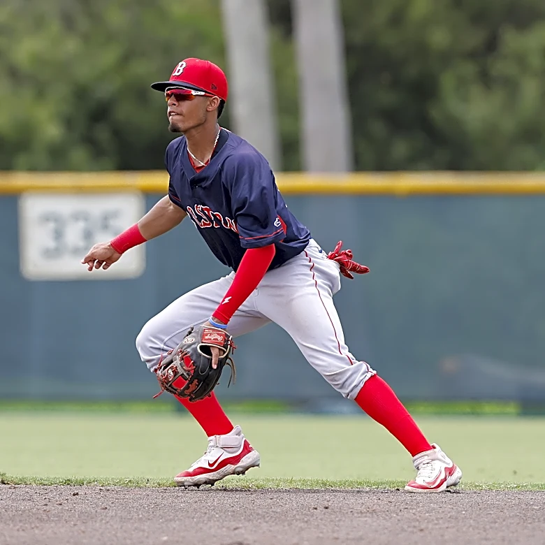 Red Sox Minor Lines: Yes, Franklin Arias hit another home run