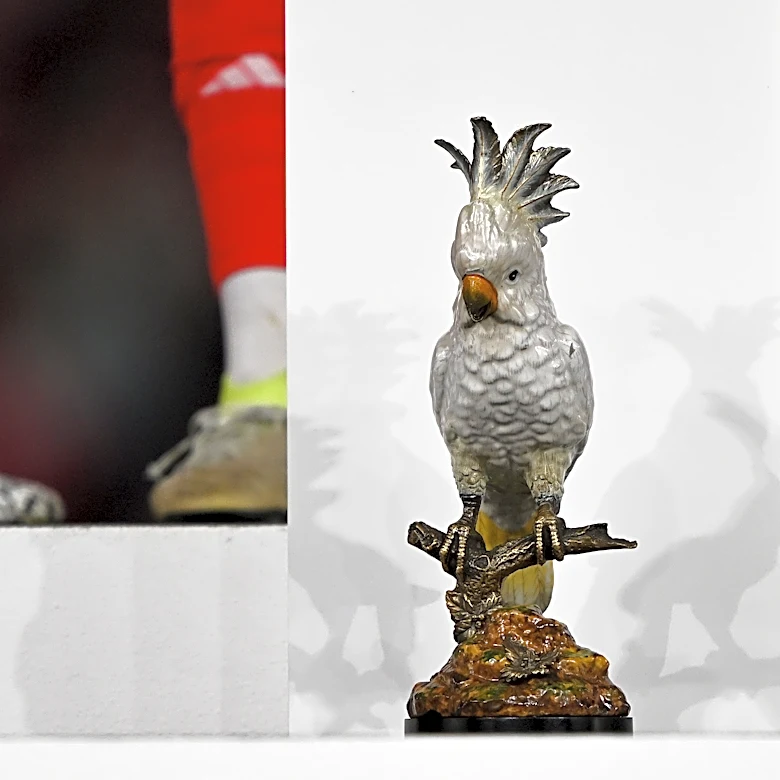 The Daily Bee: Concussions, Coulibaly, and… Cockatoos?