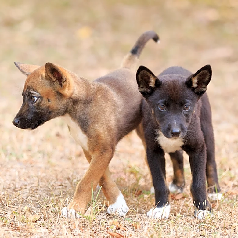 Minor league update for 4/22/26