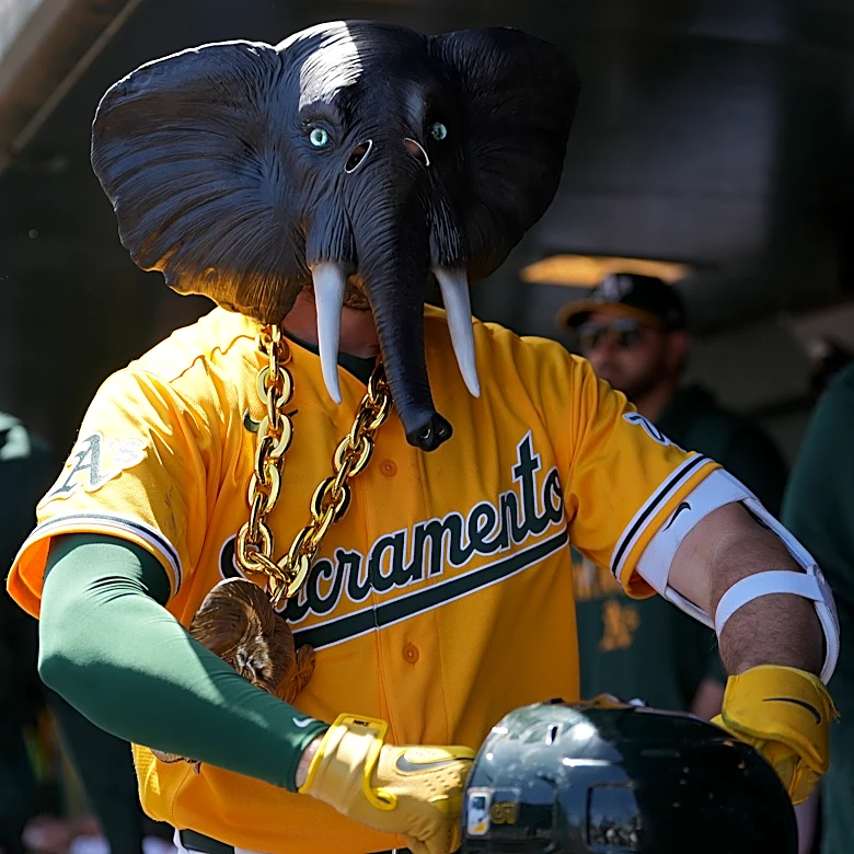 Elephant Rumblings: What a difference a few weeks can make!