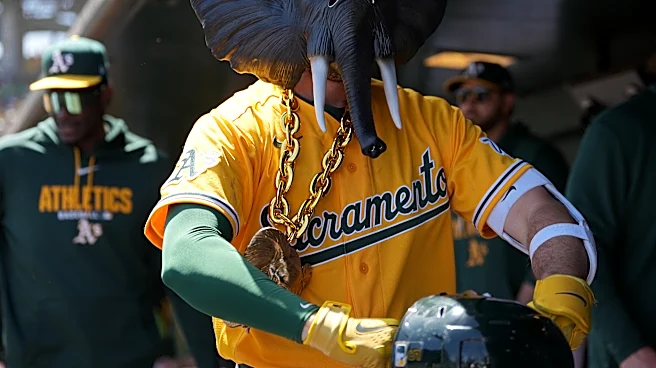 Elephant Rumblings: What a difference a few weeks can make!