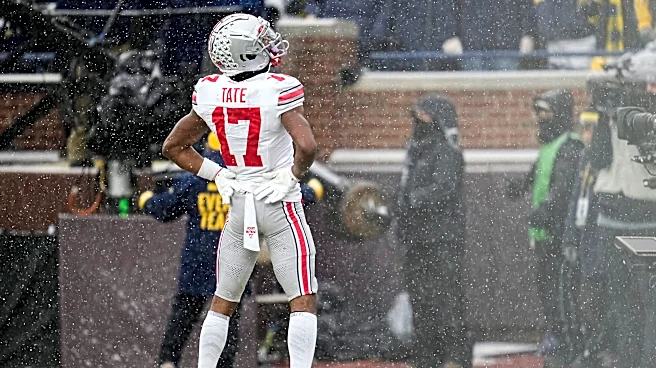 Titans draft results 2026: Carnell Tate, WR, Ohio State stats, awards, and scouting report