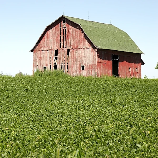 The Link Farm: 4.24.26