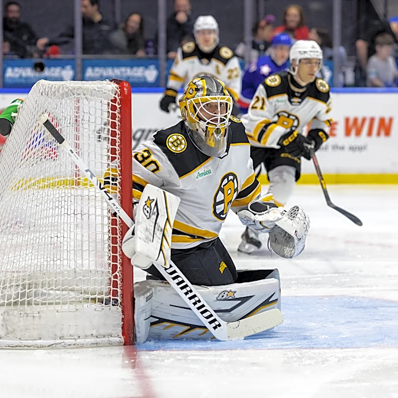 Providence Bruins clean up in end-of-season awards