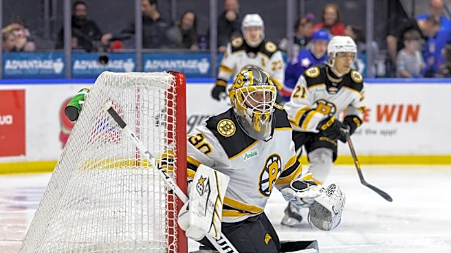 Providence Bruins clean up in end-of-season awards