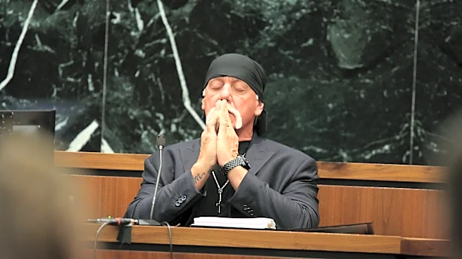 Hulk Hogan Netflix doc leaves a complicated, sad final impression