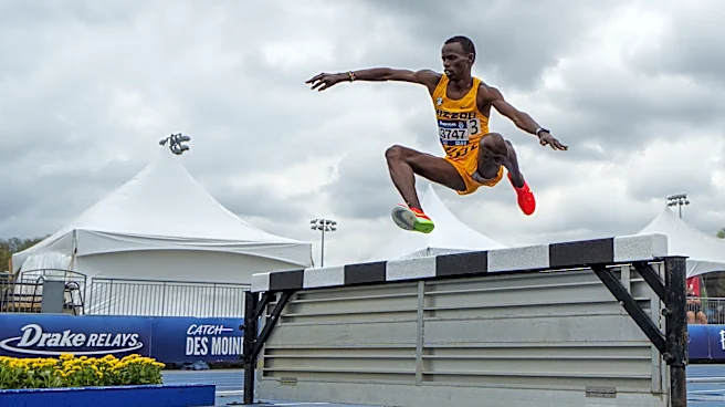 Tigers hold their own in elite fields at Drake Relays