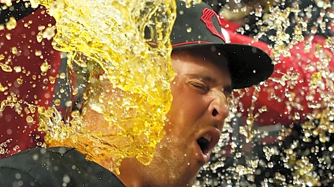 Nathaniel Lowe walks it off for Cincinnati Reds over Detroit Tigers